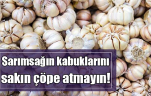 Sarımsağın kabuklarını sakın çöpe atmayın!