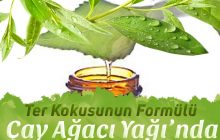Ter Kokusunun Formülü Çay Ağacı Yağı’nda