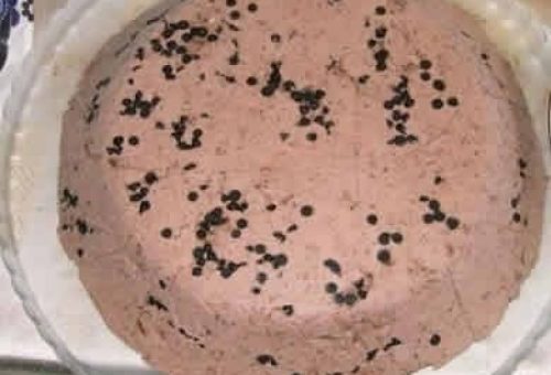 Bisküvi Dondurması