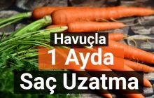 Saçları 1 ayda uzatan havuç maskesi!