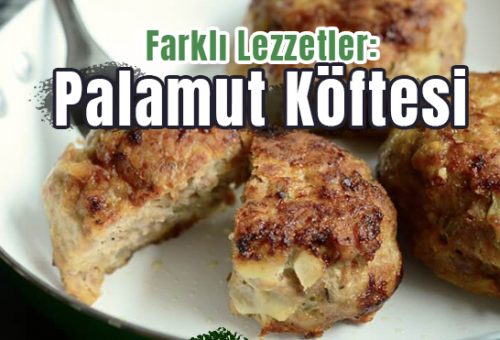 Palamut Köftesi