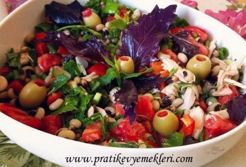 Renkli Yaz Salatası