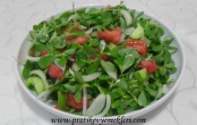 Semizotu Salatası